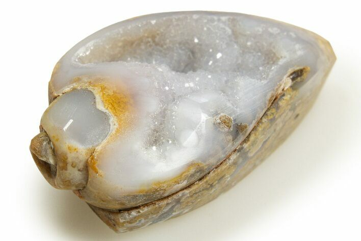 Chalcedony Replaced Gastropod With Sparkly Quartz - India #318711